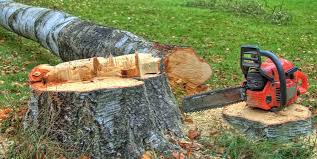 Best Firewood Processing and Delivery  in USA